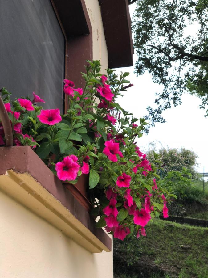 Casa Rural En Plena Naturaleza Lic Uvtr1524 Eguillor Extérieur photo