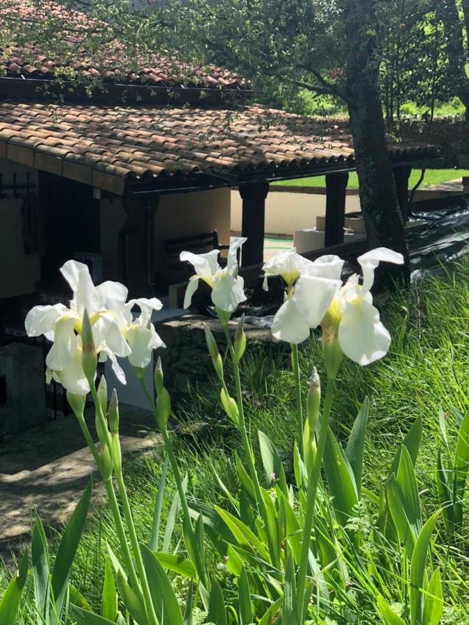 Casa Rural En Plena Naturaleza Lic Uvtr1524 Eguillor Extérieur photo